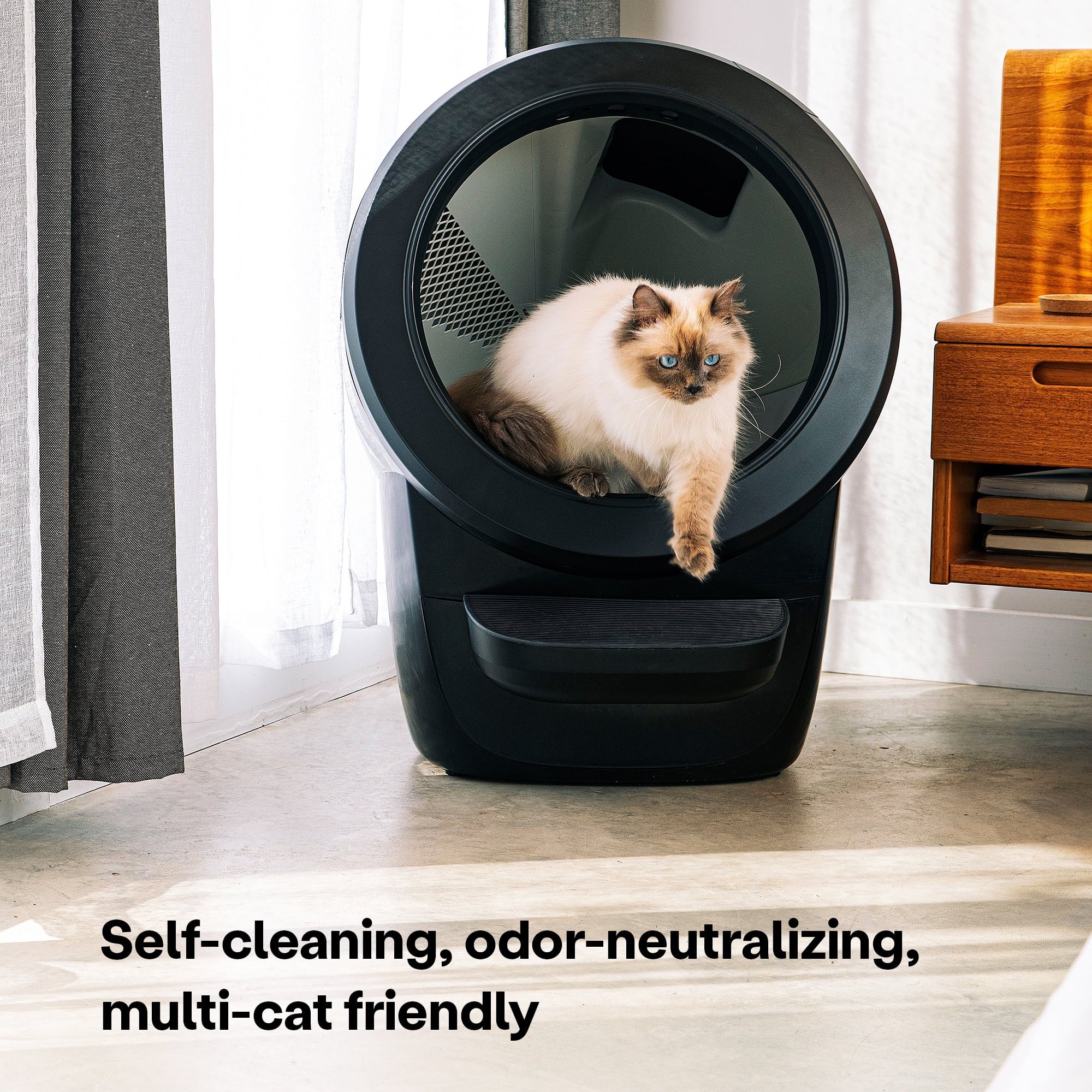 2026 2025 Whisker Litter-Robot 4 avec Marchepied – Bac à Litière Automatique Auto-nettoyant pour Chats, Noir, Technologie Avancée pour un Confort Optimal et Contrôle Intelligent des Déchets