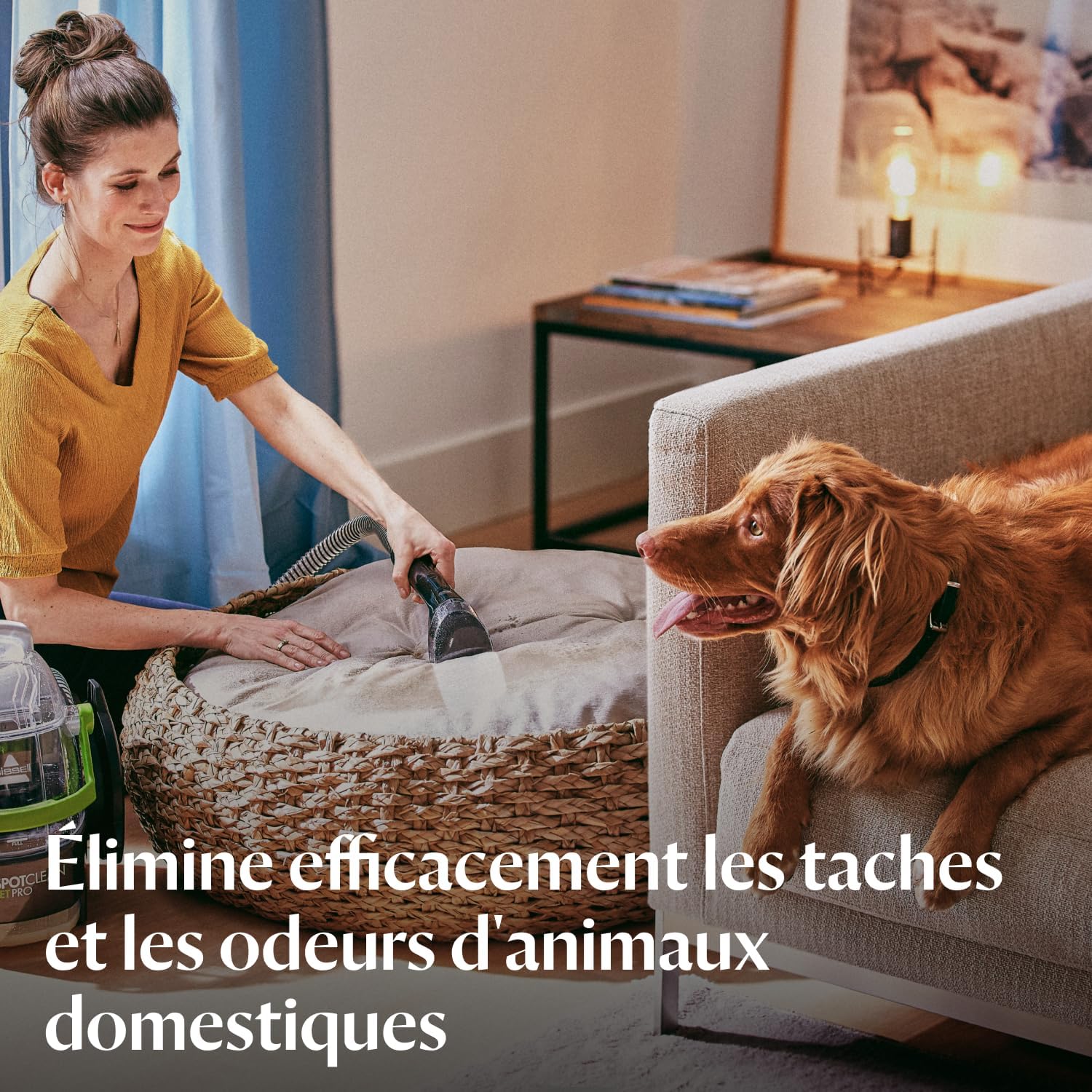 2026 SpotClean Pet Pro, Shampouineuse Canapé, Moteur Puissant de 750W, Idéal pour les Propriétaires d'Animaux, Nettoyeur pour Tapis, Moquettes, Meubles, Tissus, Voiture & Plus Encore, 15585