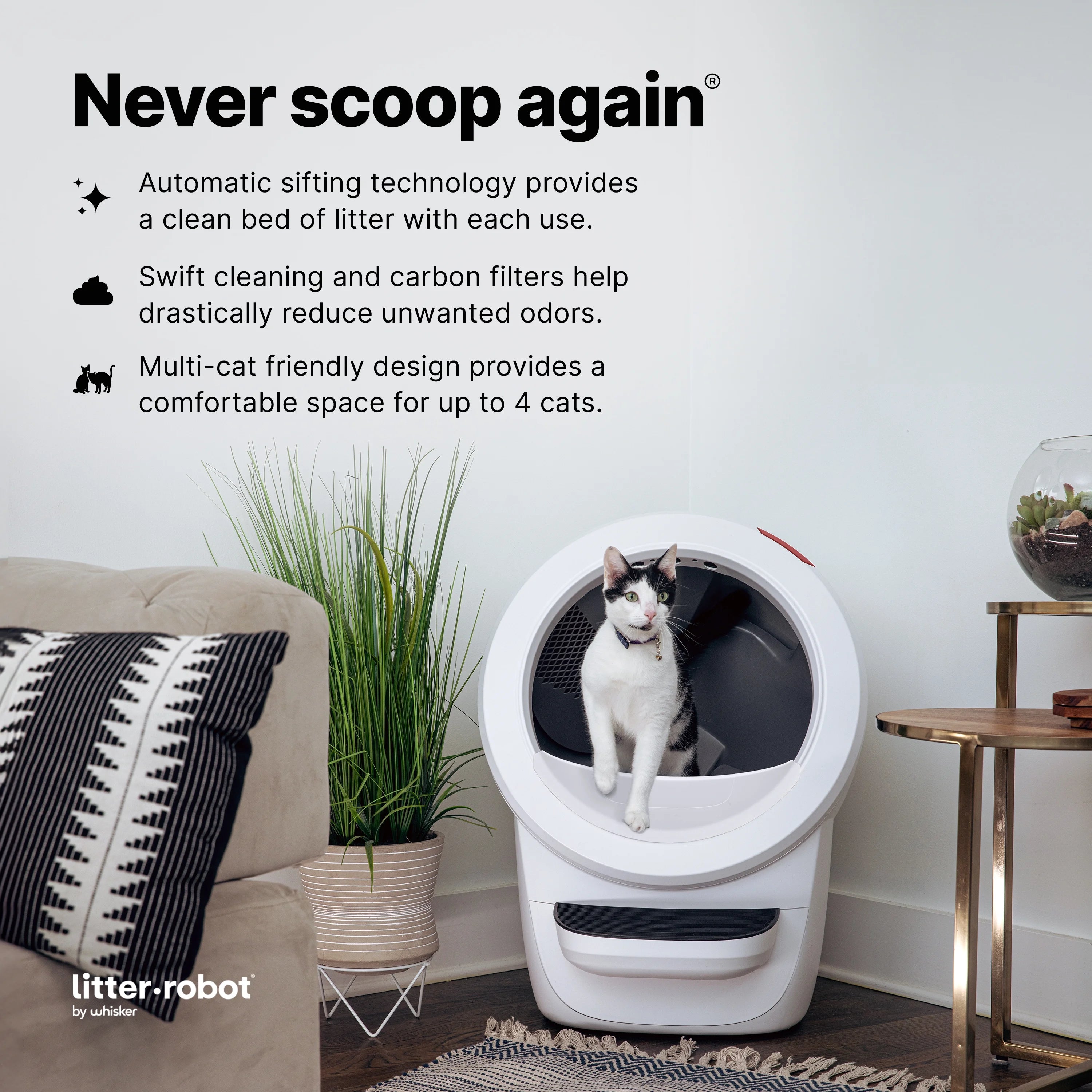 2026 2025 Whisker Litter-Robot 4 avec Marchepied – Bac à Litière Automatique Auto-nettoyant pour Chats, Noir, Technologie Avancée pour un Confort Optimal et Contrôle Intelligent des Déchets