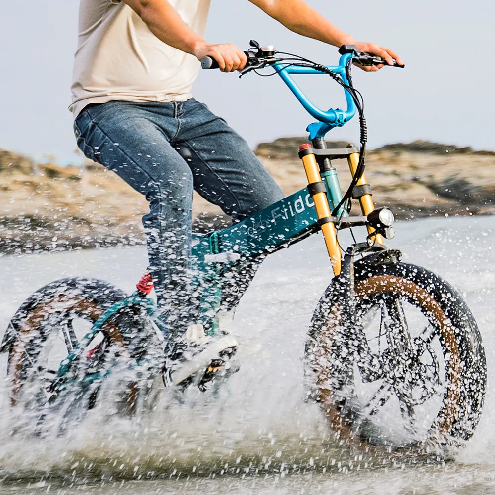 2026 Fiido M1 Pro Elektrofahrrad Big Wheel Fatbike