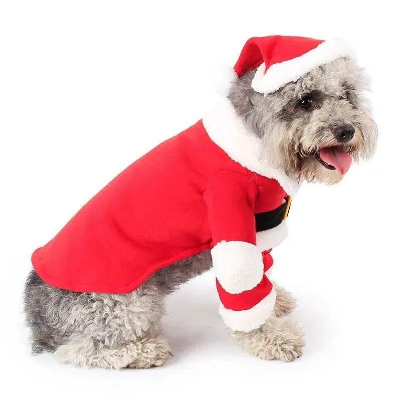 BowLift | Pet Christmas Decoration Costume Pet Standing Costume