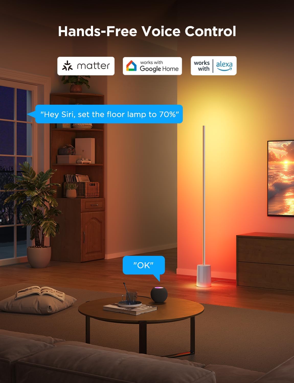 2026 2025 Lampadaire Govee 2 avec Matter, LED RGBIC, Blanc Chaud et Froid, Compatible Alexa, 1725 lm, Synchronisation Musique, Modes Scènes, Lampadaire Intelligent pour Salon et Chambre, Noir (1 Pièce)