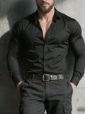 2026 Men's Casual Long Sleeve Glossy Button Down Slim Fit Shirt