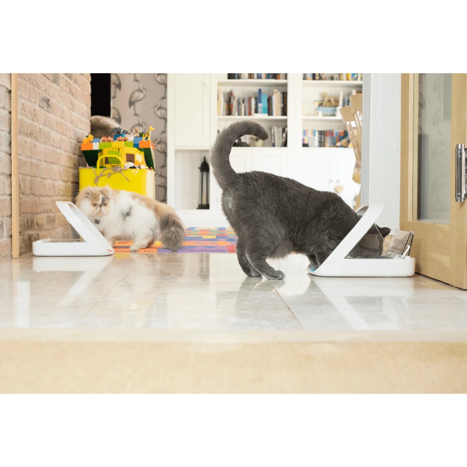 2026 2025 Surefeed Distributeur Automatique à Microchip, Gamelle Intelligente pour Chiens et Chats