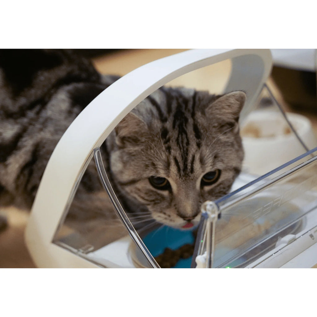 2026 2025 Surefeed Distributeur Automatique à Microchip, Gamelle Intelligente pour Chiens et Chats