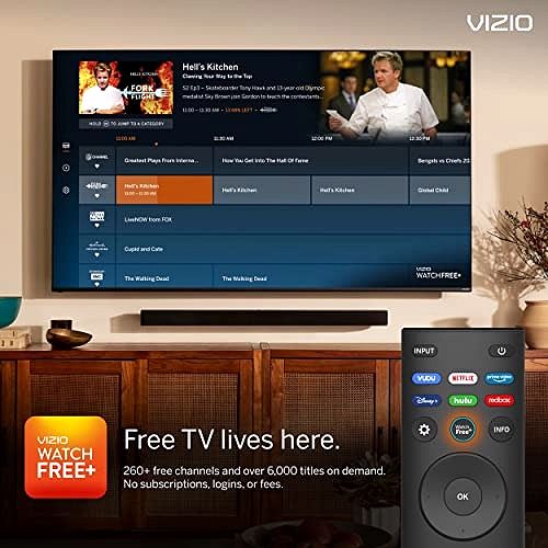 2026 Téléviseur Smart TV VIZIO D-Series 40 pouces Full HD 1080p avec AMD FreeSync & Apple AirPlay