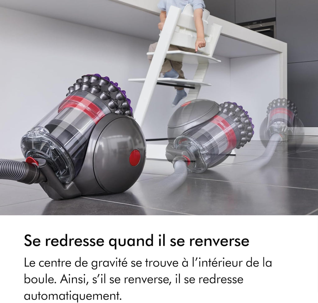 2026 2025 Aspirateur Dyson Big Ball Parquet 2