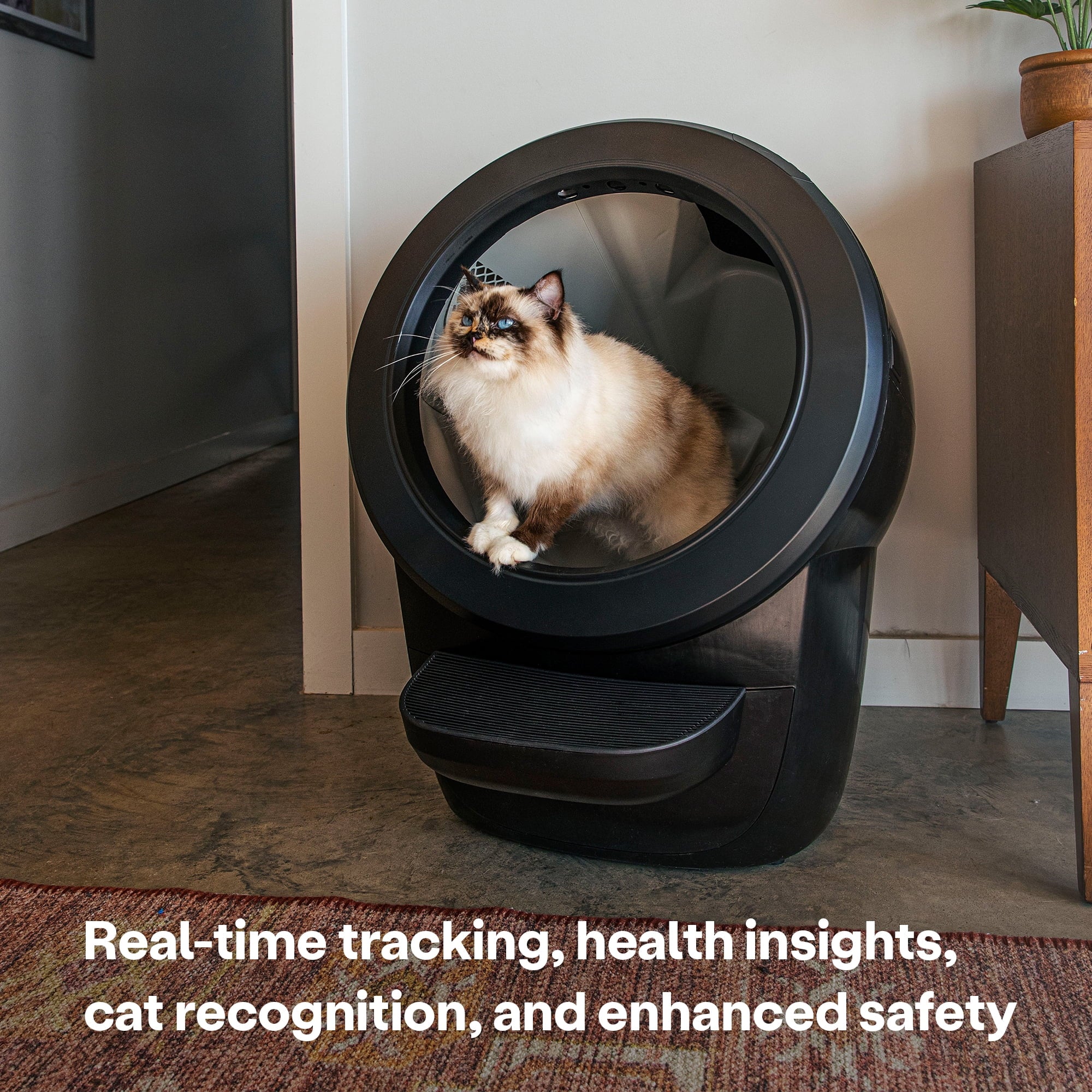 2026 2025 Whisker Litter-Robot 4 avec Marchepied – Bac à Litière Automatique Auto-nettoyant pour Chats, Noir, Technologie Avancée pour un Confort Optimal et Contrôle Intelligent des Déchets