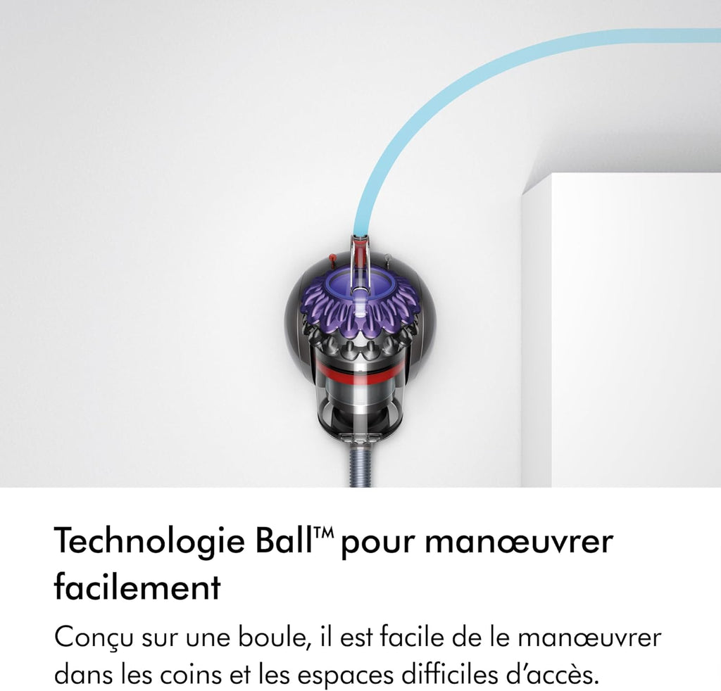 2026 2025 Aspirateur Dyson Big Ball Parquet 2