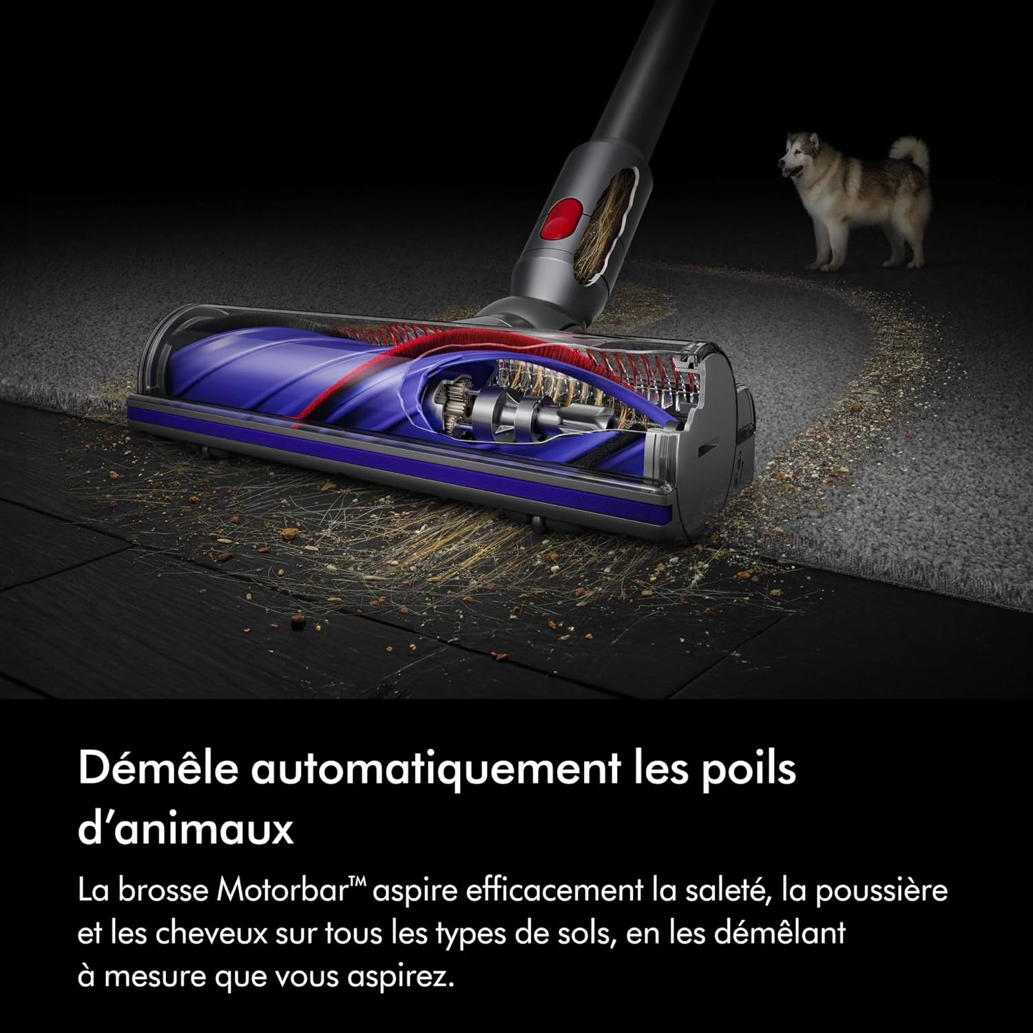 2026 2025 Dyson V8 Advanced™ Aspirateur Balai sans Fil – 130 AW, 40 Min d’autonomie, Brosse Motorbar Auto-démêlante, Accessoires combinés, Station Murale, Argent/Nickel