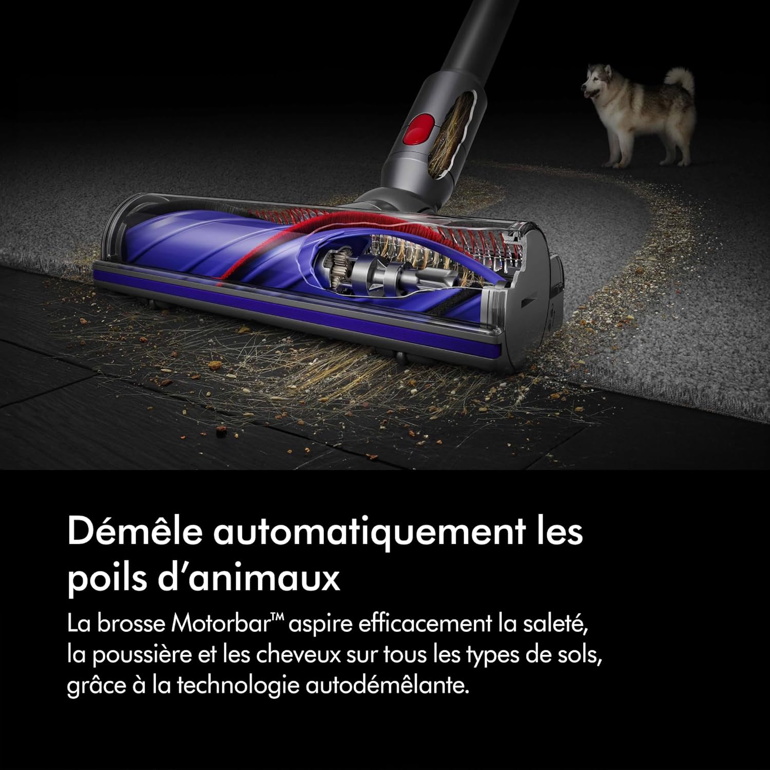 2026 2025 Dyson V8 Advanced™ Aspirateur Balai sans Fil – 130 AW, 40 Min d’autonomie, Brosse Motorbar Auto-démêlante, Accessoires combinés, Station Murale, Argent/Nickel