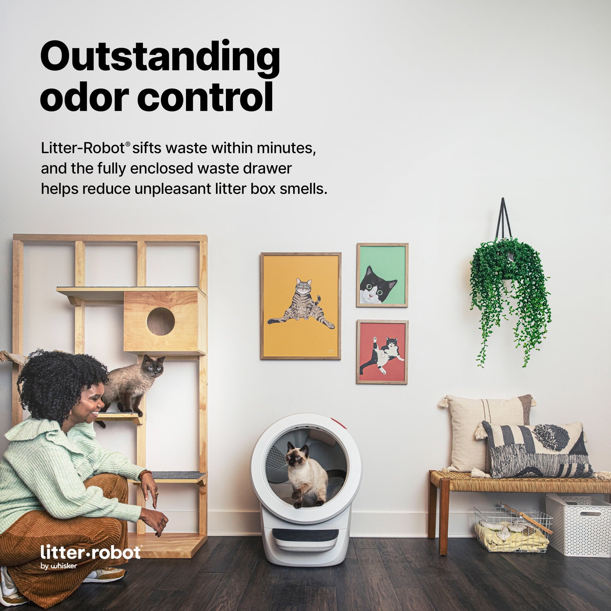 2026 2025 Whisker Litter-Robot 4 avec Marchepied – Bac à Litière Automatique Auto-nettoyant pour Chats, Noir, Technologie Avancée pour un Confort Optimal et Contrôle Intelligent des Déchets