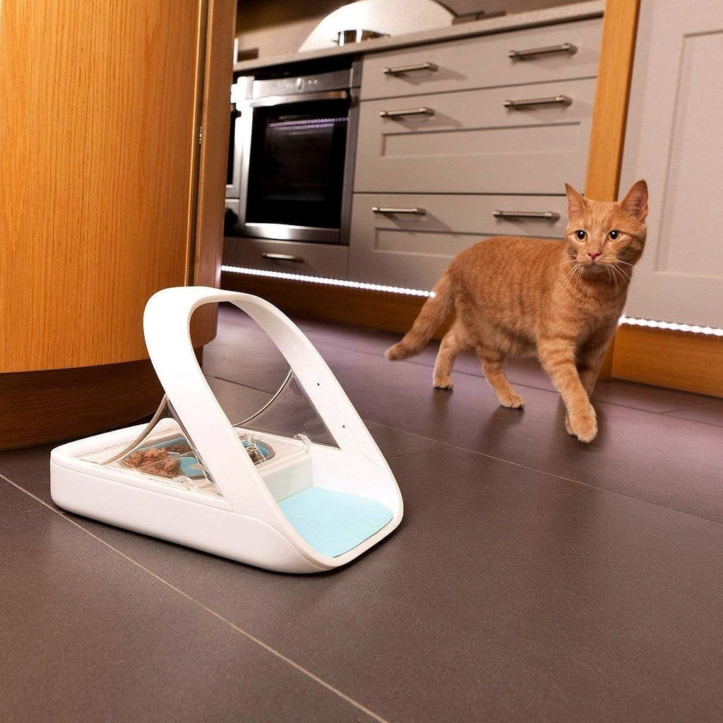 2026 Distributeur Automatique de Nourriture pour Animaux – Microchip Pet Feeder MPF001