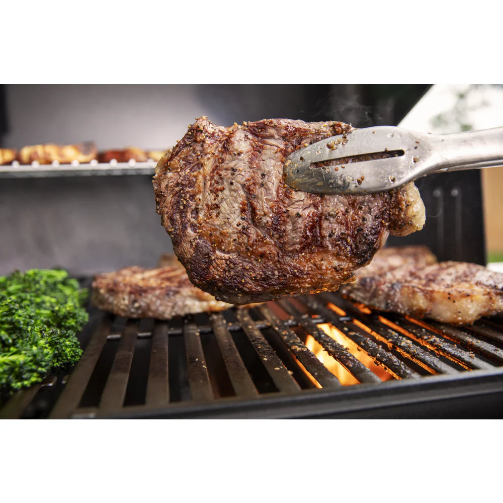 2026 2025 Weber Genesis E-315 Gasgrill mit 3 Brennern