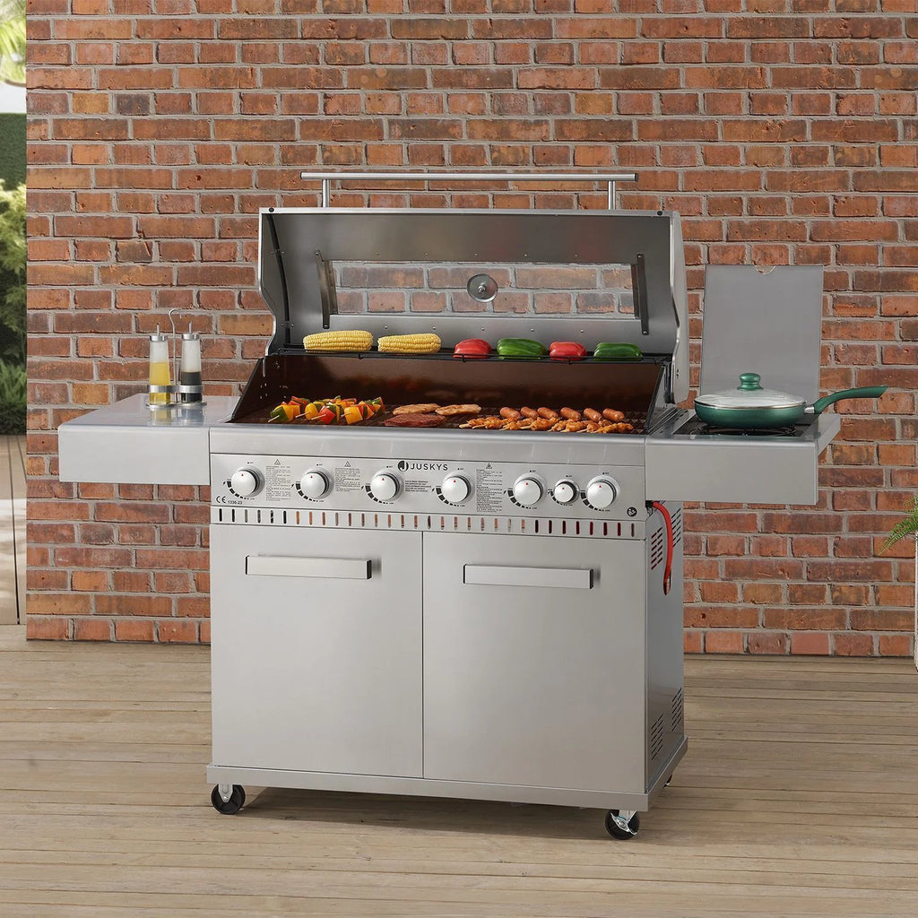 2026 BBQ Gasgrill Minnesota