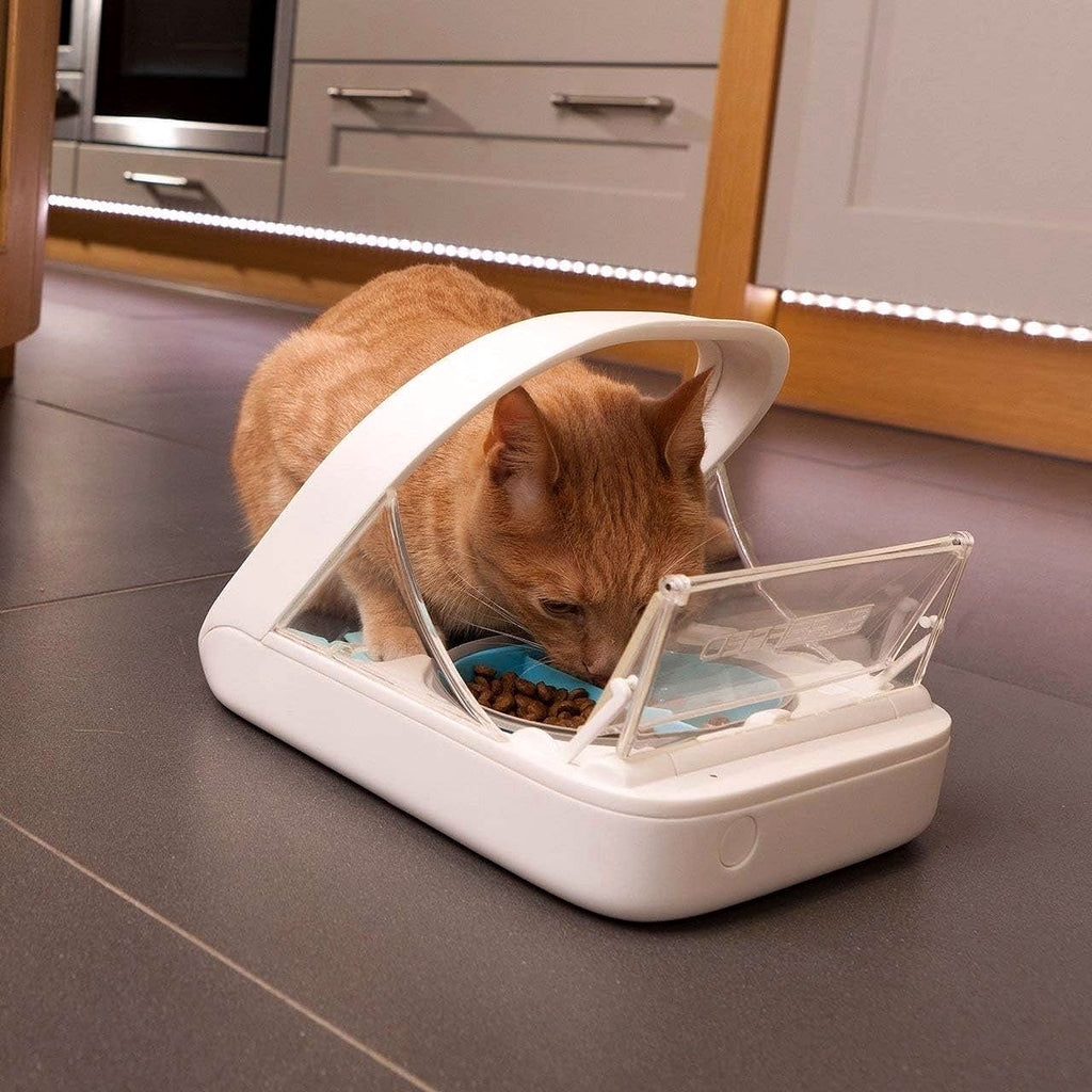 2026 Distributeur Automatique de Nourriture pour Animaux – Microchip Pet Feeder MPF001