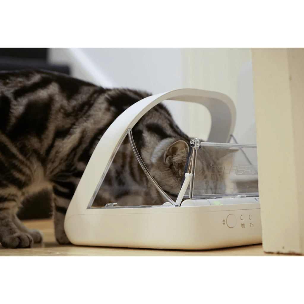 2026 2025 Surefeed Distributeur Automatique à Microchip, Gamelle Intelligente pour Chiens et Chats