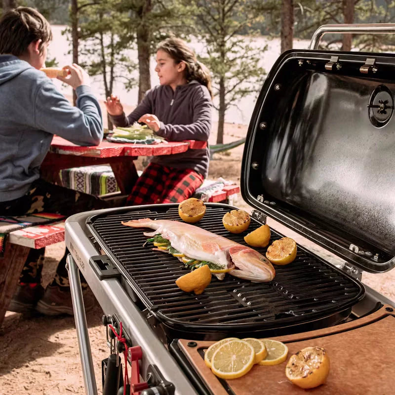 2026 2025 Weber Traveler Barbecue à gaz pliable portable