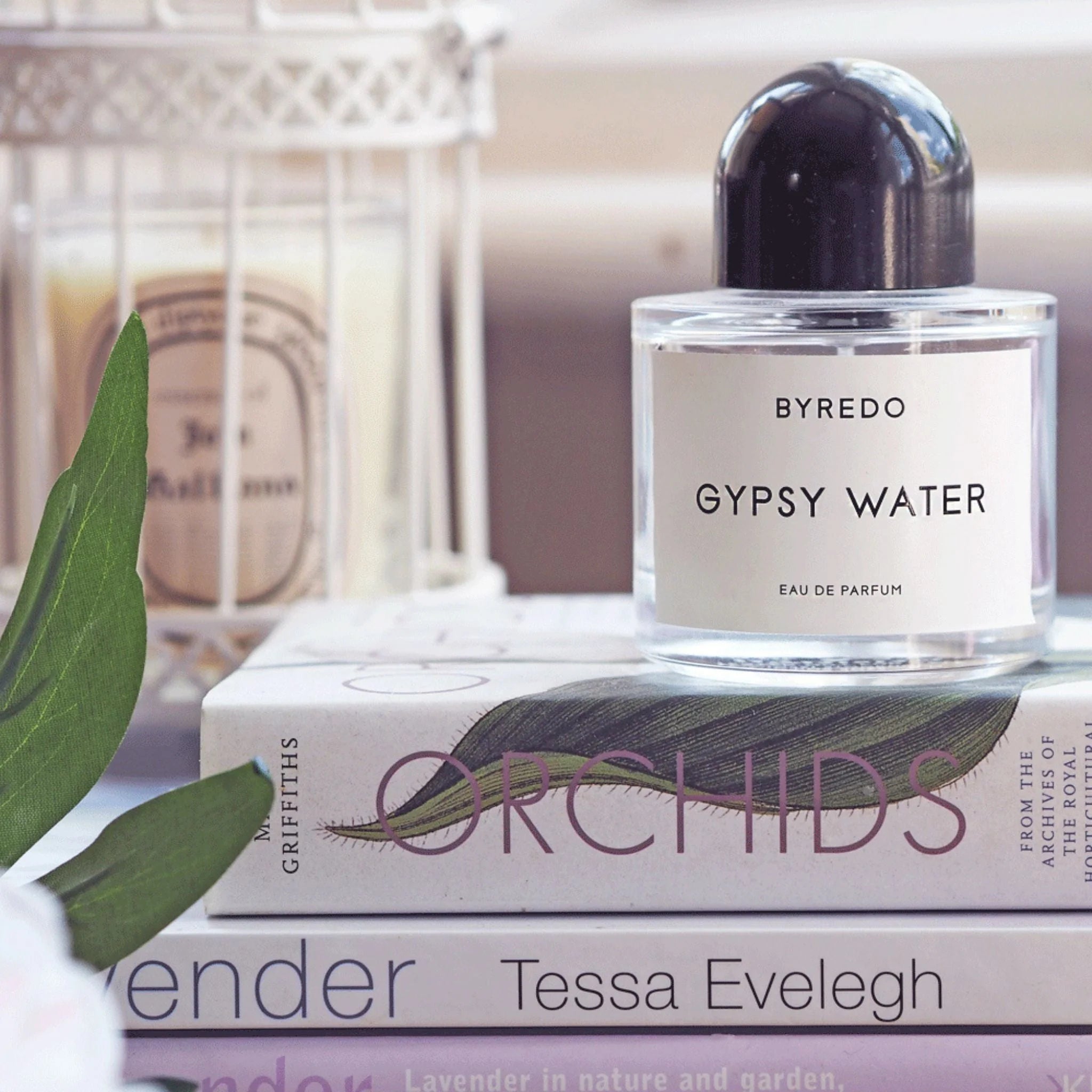 2026 2025 Gypsy Water Eau de Parfum – Parfum Boisé et Aromatique à la Vanille et à l’Ambre