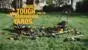 2026 2025 DEWALT DCST922P1 – Coupe-bordures sans fil 20V MAX, Moteur Sans Balais, Charnière Pliable, Édition Limitée