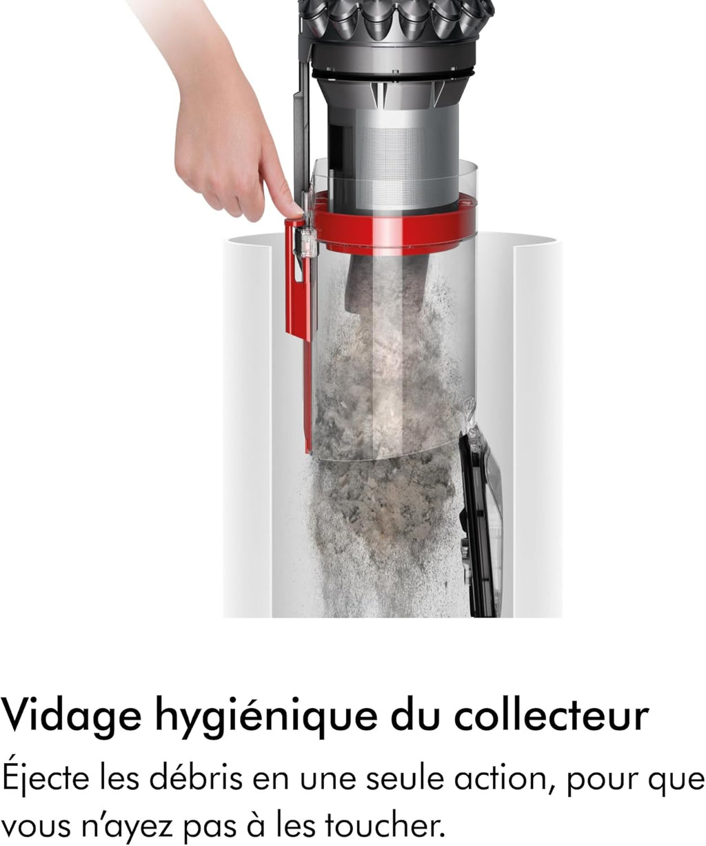 2026 2025 Aspirateur Dyson Big Ball Parquet 2