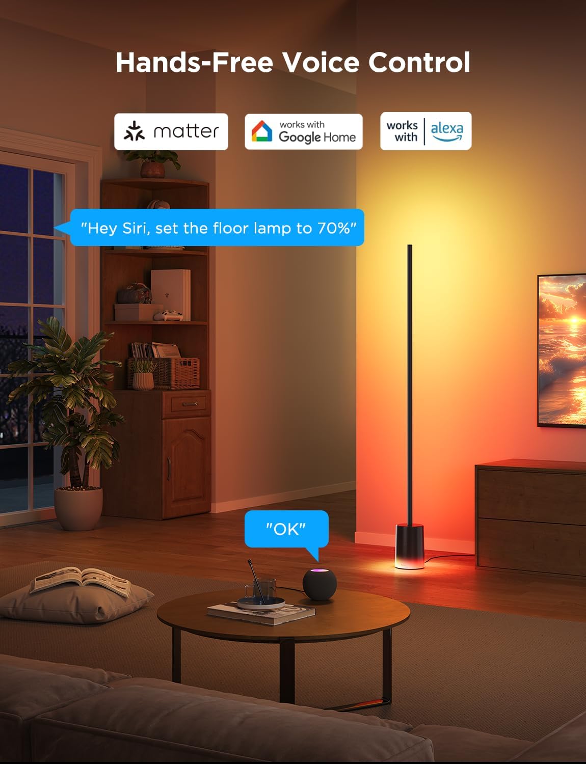 2026 2025 Lampadaire Govee 2 avec Matter, LED RGBIC, Blanc Chaud et Froid, Compatible Alexa, 1725 lm, Synchronisation Musique, Modes Scènes, Lampadaire Intelligent pour Salon et Chambre, Noir (1 Pièce)