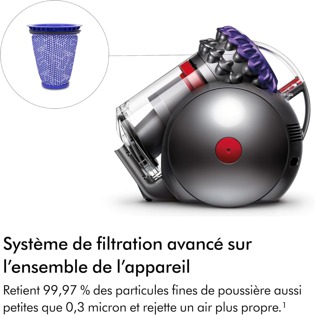 2026 2025 Aspirateur Dyson Big Ball Parquet 2